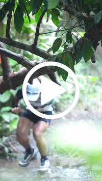 BIB:  <button type="button" onclick="openModal(27501051)" class="btn btn-primary btn-sm float-right" data-toggle="modal" data-target=".modal-high-quality">
                <i class="fa fa-download"></i> Download
                </button>